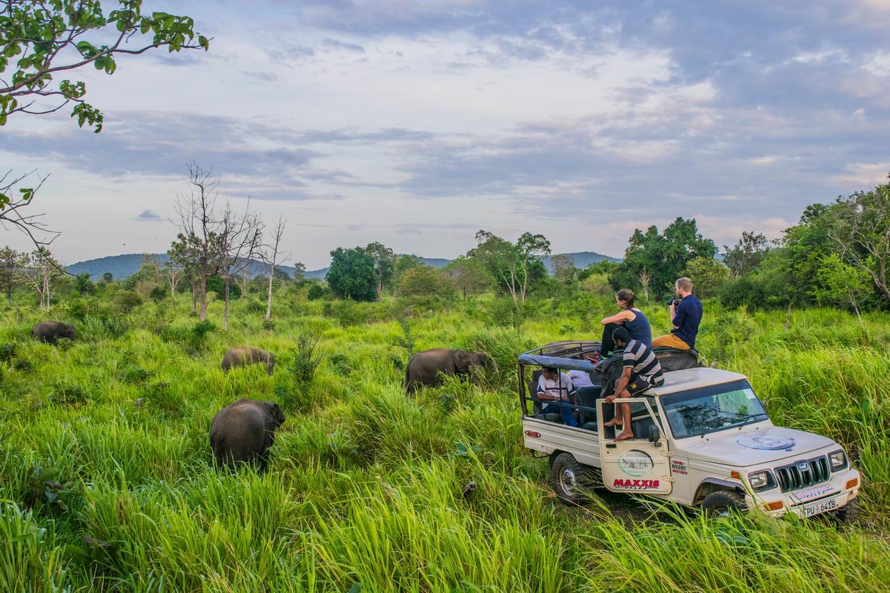 Tamarind Tamarind Resort, Tourist Board Approved ฮาบารานา ภายนอก รูปภาพ