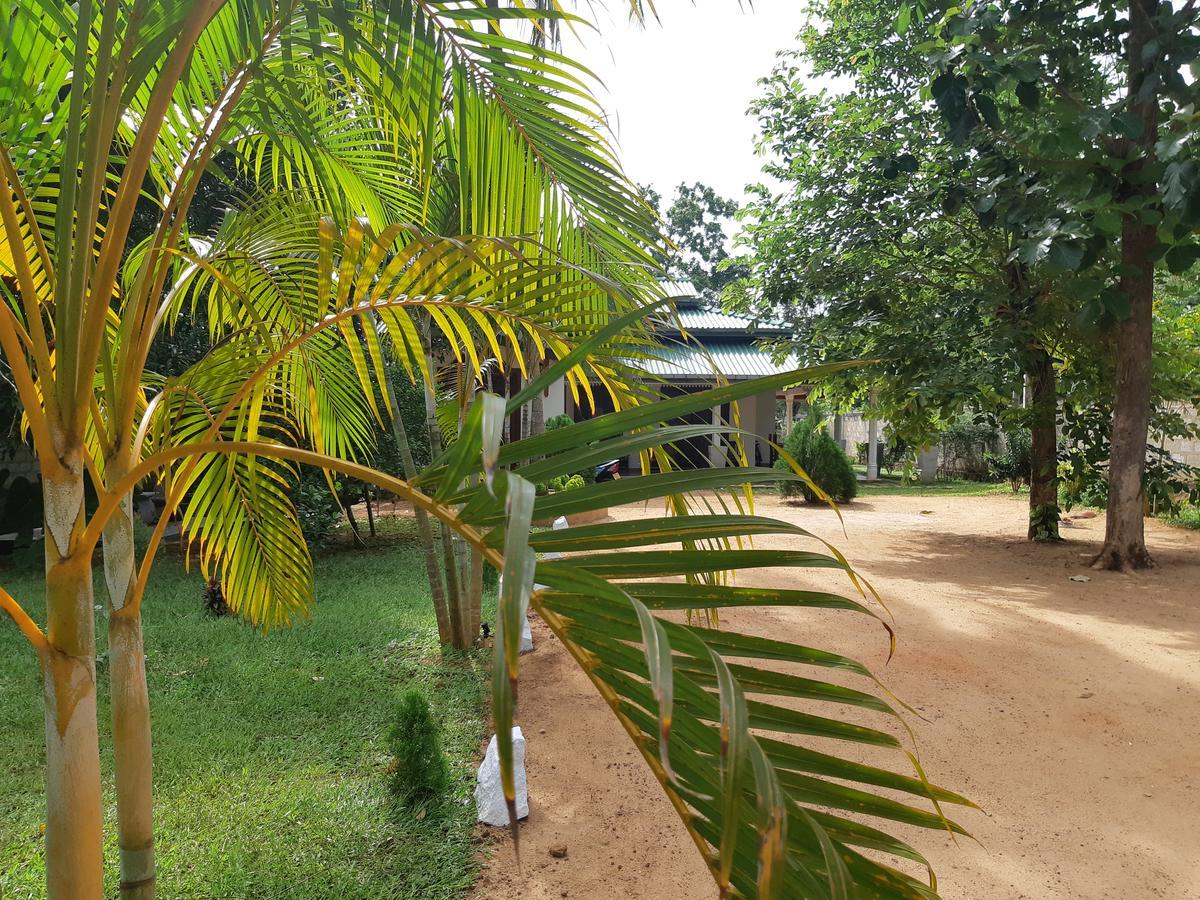 Tamarind Tamarind Resort, Tourist Board Approved ฮาบารานา ภายนอก รูปภาพ