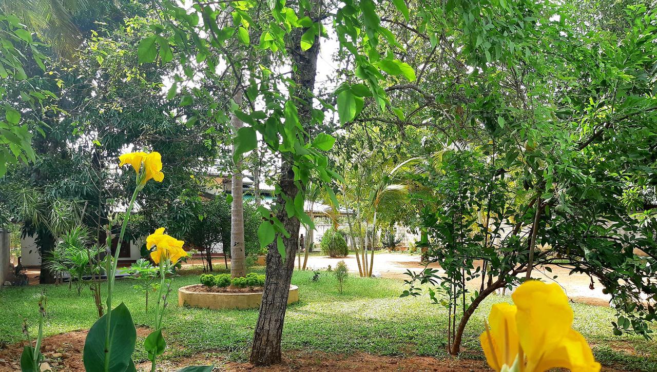 Tamarind Tamarind Resort, Tourist Board Approved ฮาบารานา ภายนอก รูปภาพ